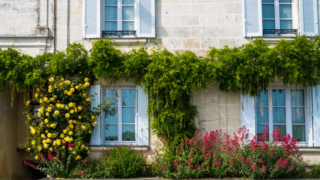 Façade de maison avec fenêtres et fleurs grimpantes.
